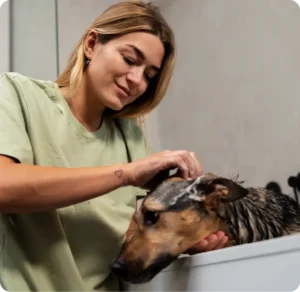 peluqueria canina en el valle de los chillos