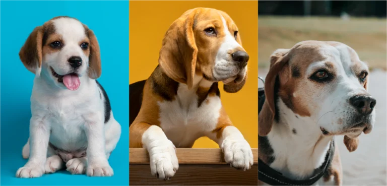 ¿Sabías que cada edad tiene un cuidado especial?