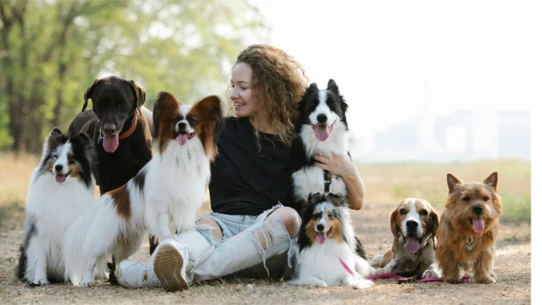 perro adulto cuidados