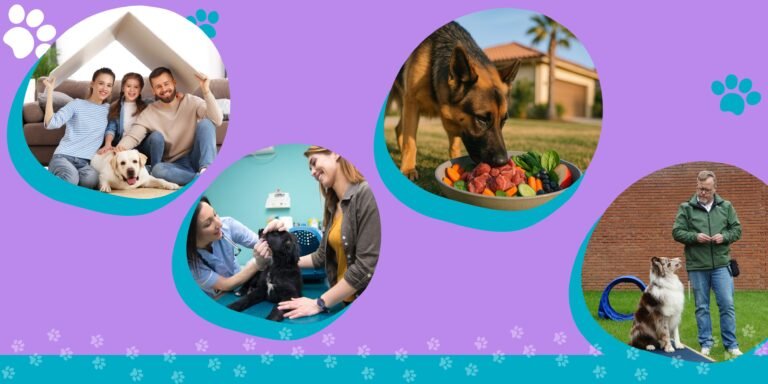 Tu perro podría ser aún Más Feliz