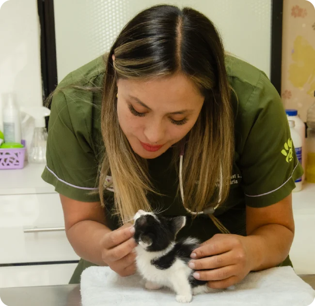 veterinaria valle de los chillos